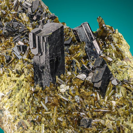 Augite-Seebachkar | Obersulzbachtal | Neukirchen a. G. | Zell am See | Salzburg | Austria